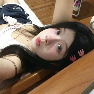 你好喵室友
