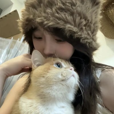 飞蛾日记